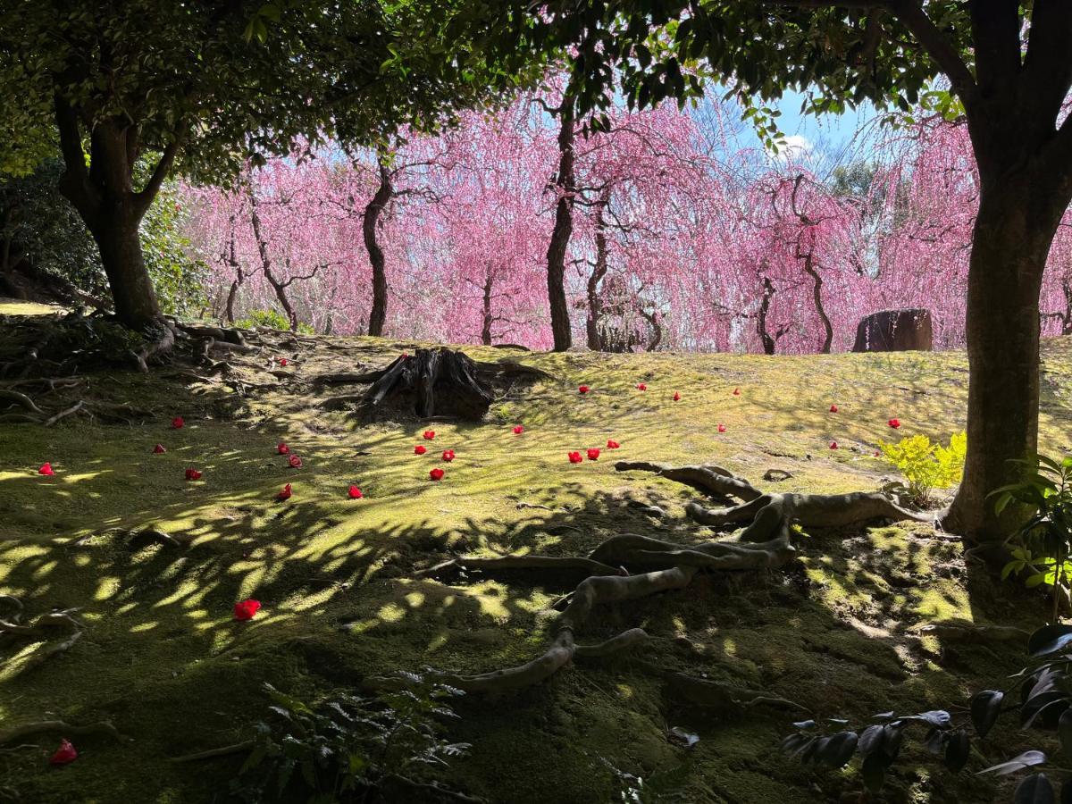 Henn Na Hotel Premier Kyoto Gojo Karasuma -Formerly Watermark Hotel Kyoto- מראה חיצוני תמונה